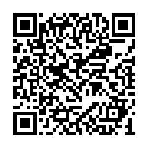 一圈一圈地以许紫烟的左脚为中心向着四周荡漾二维码生成
