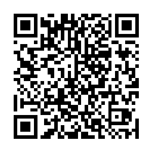 一圈圈冰火之力组成的光波与一圈圈蓝色雷波骤然合二为一二维码生成