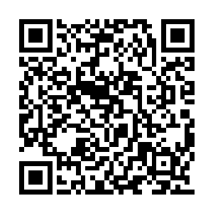 一圈庞大的防御城墙将白河谷地全部包裹在一起二维码生成