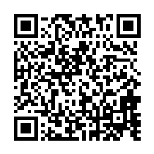 一圈接着一圈的寒冰之力直接将十一长老彻底的封锁了二维码生成