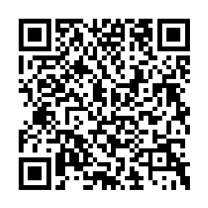 一圈肉眼可见的气浪以落阳为中心向着四周荡漾二维码生成