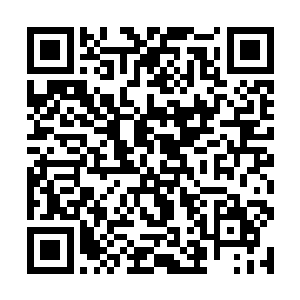 一圈肉眼可见的波纹向着那十个堕落一族荡漾了过去二维码生成