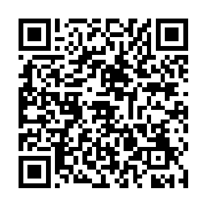 一场巨大的灾难其实已经在皇城内部拉开了序幕…r9二维码生成