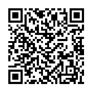 一块块古老的碑文零零散散地洒在了废墟的边缘二维码生成