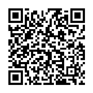 一块横跨克拉克森腰部的巨大鳞片被马文生生拽了下来二维码生成