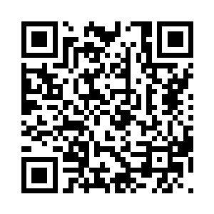 一块破布上放着一块树根一样的玩意儿二维码生成