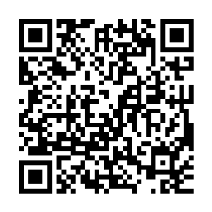 一块蓝色的大概巴掌大小的云层缓缓的呈现在了林烽的丹田之中二维码生成