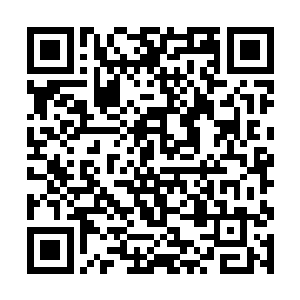 一声伤心欲绝中带着浓烈恨意的质问声在他耳边响起二维码生成