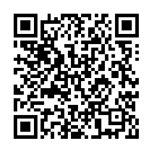 一声低沉的充满死气的声音传到了众人的耳朵中二维码生成
