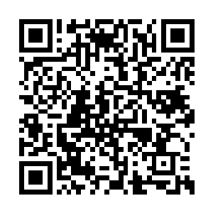 一声兴奋无比的高昂空旷声音猛的从通道中传出二维码生成