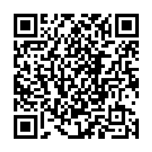 一声包含着神秘而强大的力量的咆哮声瞬间传遍了整座雪山二维码生成