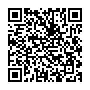 一声堪称凄厉又绝望以及蕴含了无数情怀的呼喊声从身后传来二维码生成