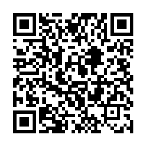 一声声无比凄厉的惨叫声顿时也从宫莫仇的嘴里传出二维码生成