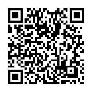 一声声无比凄厉的惨叫声顿时从血魂的嘴里传出二维码生成