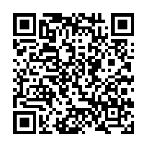 一声尖锐的哨子声一下子突然在远处响彻了起来……二维码生成