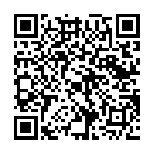一声巨响伴随着一阵飞禽的哀鸣声从远处的天空中传来二维码生成