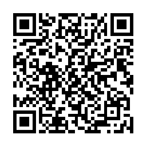 一声惊天动地的惨叫声就在金权坊市的乾门人群之中响起二维码生成