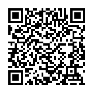 一声惨叫声传来……也是立即让房间里的几个人二维码生成