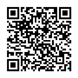 一声愤怒的放肆使得整个夜家的空气有了严重的波动二维码生成