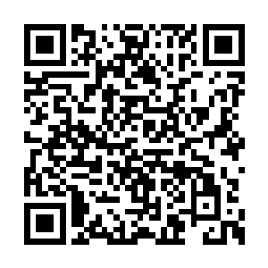 一声扯破喉咙的尖叫声几乎要掀翻整个展览大厅二维码生成