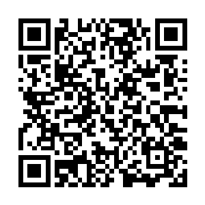 一声没有任何情绪波动的电子合成声在大厅上空响起二维码生成