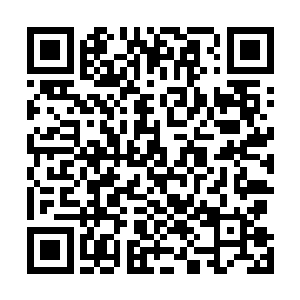 一声略微惊诧带着惊喜的声音忽然间从右侧的树林间传来二维码生成