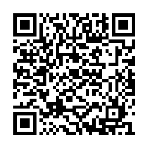 一处充满着绿色植物与鸟语花香的神国核心当中二维码生成