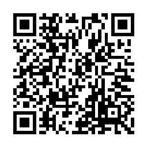 一处微微隆起的松土那是一处黑蚂蚁的蚂蚁巢穴二维码生成