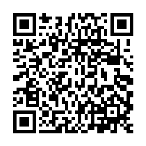 一夜之间被其他三大家族和八中家族中新崛起的大家族瓜分殆尽二维码生成