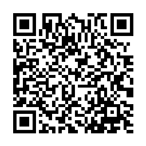 一夜开了两朵含苞的苗毅只对飞红微微点头笑了一下二维码生成