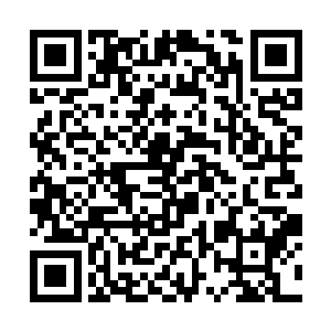 一大一小两个女人正式开始了对自由之都市场的横扫二维码生成