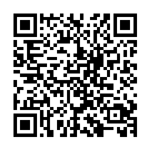 一大两个小的回到部落的时候老祭祀已经把围观的人都赶跑了二维码生成