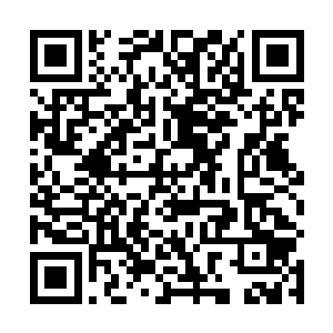 一大堆外卖单子里一家烧烤店的宣传单吸引了她的注意二维码生成