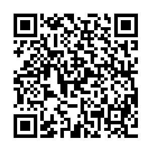 一大把仿佛标枪一般的淡蓝触手深深的碾碎那里被他踩倒的植物二维码生成