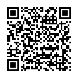 一大早南淮王便派自己的大儿子北辰霖前来请唐玥进宫二维码生成