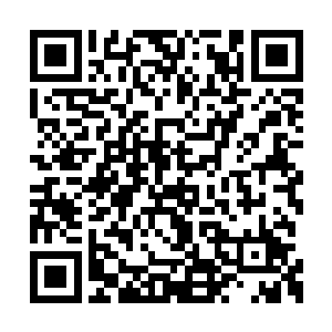 一大片绿色植被有几十个村庄围住一个中心城市二维码生成