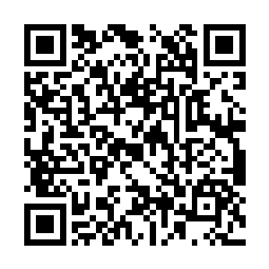 一大片近百米高的好像筷子一般的森林出现在眼前二维码生成