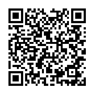 一大群义愤填膺的人民正在叫喊着各种各样的口号二维码生成