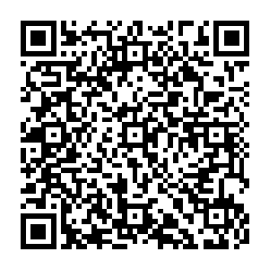 一大队佩戴风蓝王国国徽勋章的士兵压着十几辆装满铁箱的大马车缓缓的走在官道上二维码生成