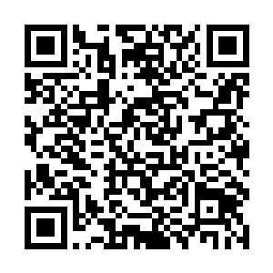 一天二十四小时至少有十八个小时是在看这些资料的二维码生成