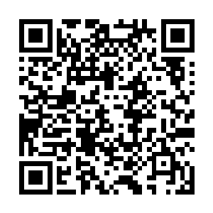 一头……两头……三头……无数异兽从通道中蜂拥而至二维码生成