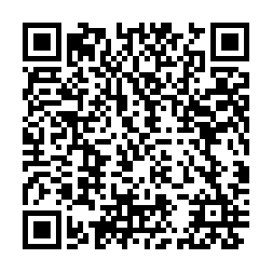 一头刚刚高高跃起打算咬住羊脖子的大青狼就哀嚎一声翻滚了出去二维码生成