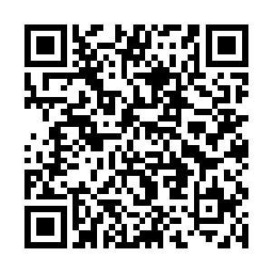 一头又一头的妖蛮半圣化身如同陨石一样落向烛龙城二维码生成