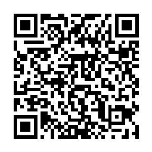 一头又一头眼中闪烁着血光的蛮荒巨兽从黑暗中冲出二维码生成