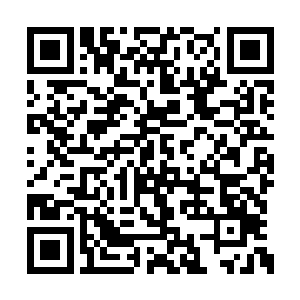 一头双头大蛇安静的盘旋在冷锋背靠的树的上方二维码生成