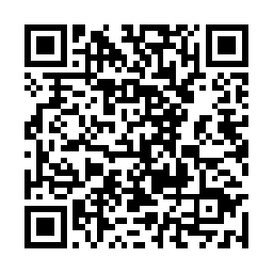 一头四等魔僵实力就足以抗衡一名上品顶尖武王了二维码生成