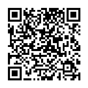 一头堪塔斯和其他种族之后生下的后代只有两种可能二维码生成