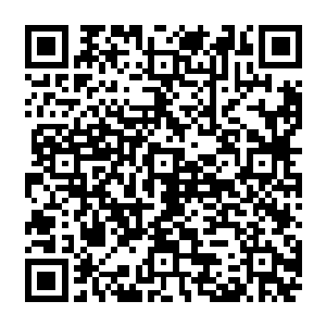 一头头不同颜色但是带着同样威势的神龙盘踞在那用不知道什么材料打造的龙椅上面二维码生成