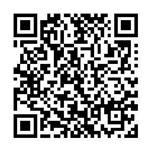 一头暗金色的头发在光线映衬之下居然显得有些透明二维码生成