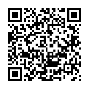 一头白罴每天至少要吃下接近三分之一体重的食物二维码生成